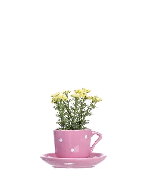 Декоративная чашка с блюдцем +цветок ( 10 см) №285#1