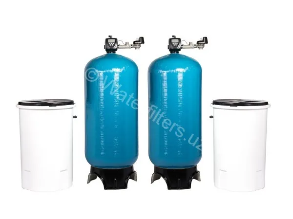 Умягчитель воды Water Filters SF-3072 Duplex 2''#1