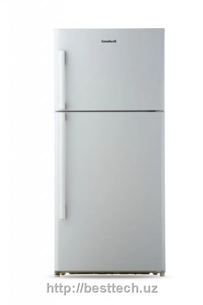 Холодильник GOODWEL GRF-T311X#1