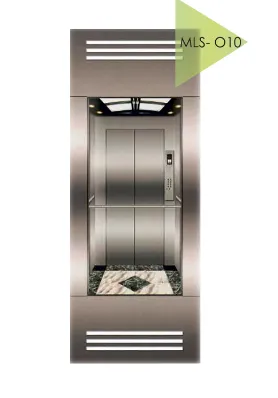Панорамный лифт MLS-O10#1