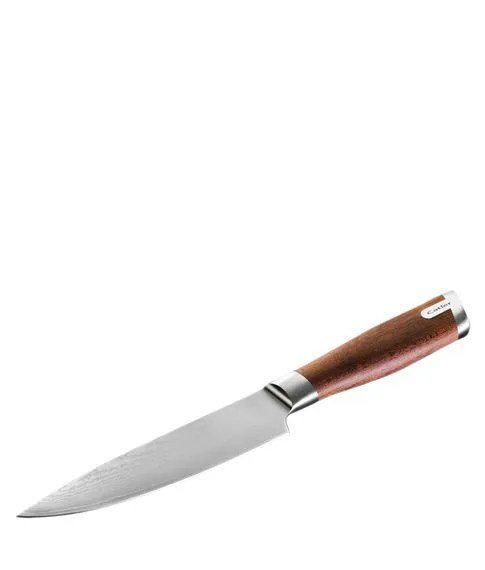 Японский нож для нарезки фруктов DMS Fruit Knife Catler#1