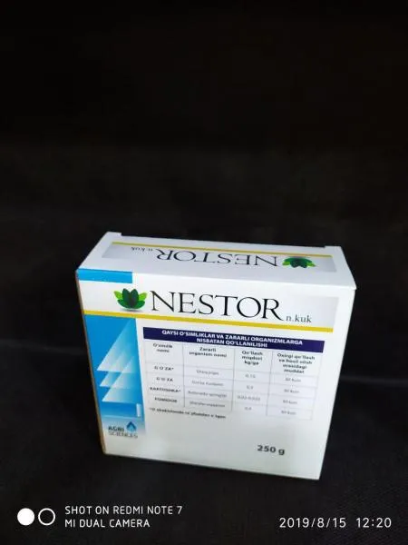 Nestor#1