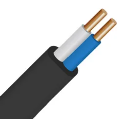 Силовой кабель ВВГ 2х2,5 (ок) – 0,66#1