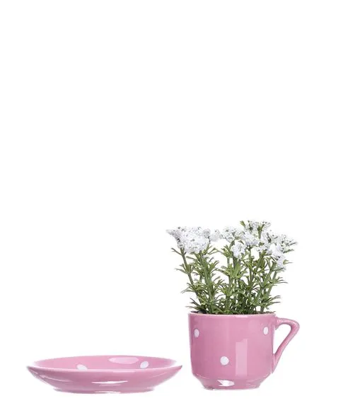 Декоративная чашка с блюдцем +цветок ( 10 см) №286#2