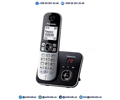 Радиотелефоны Panasonic KX-TG6821#1