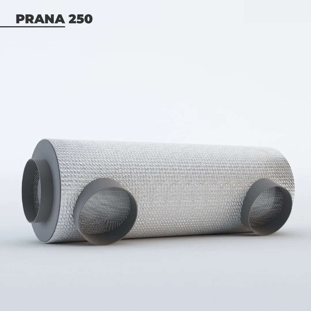 Рекуператор «PRANA-250»#2
