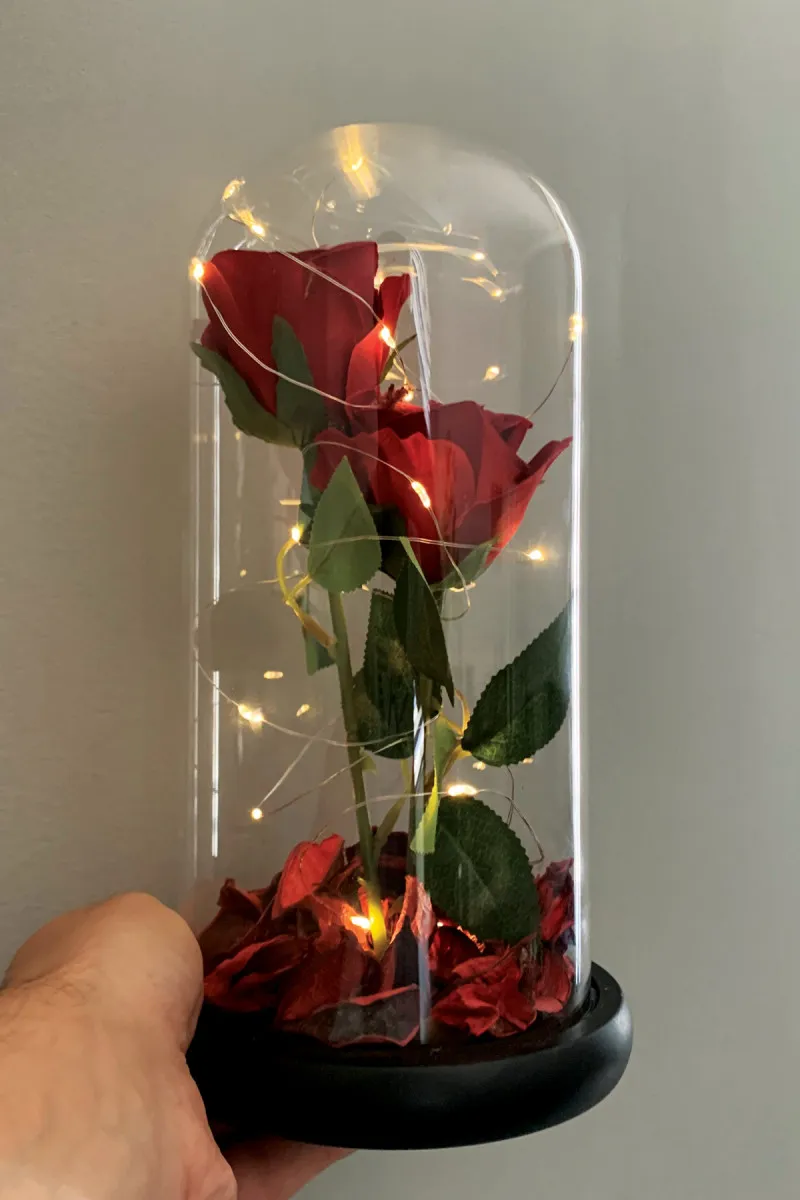 Две розы в колбе с подсветкой ck2 shk gift#1