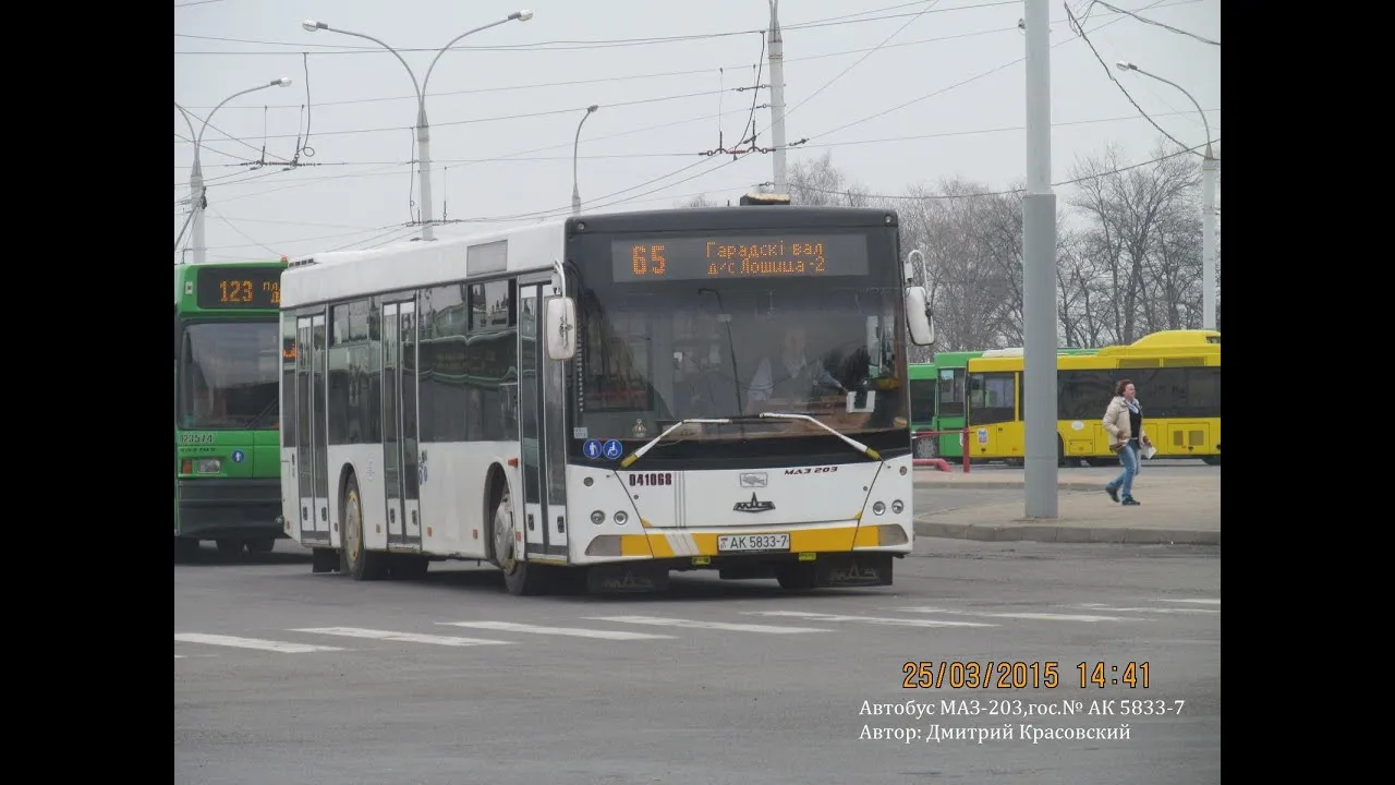 Автобус МАЗ 203#3