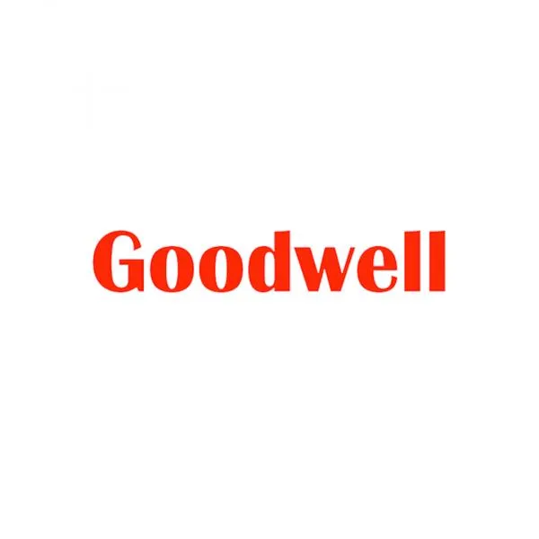 Стиральная машина Goodwell GWM-601W/B#2