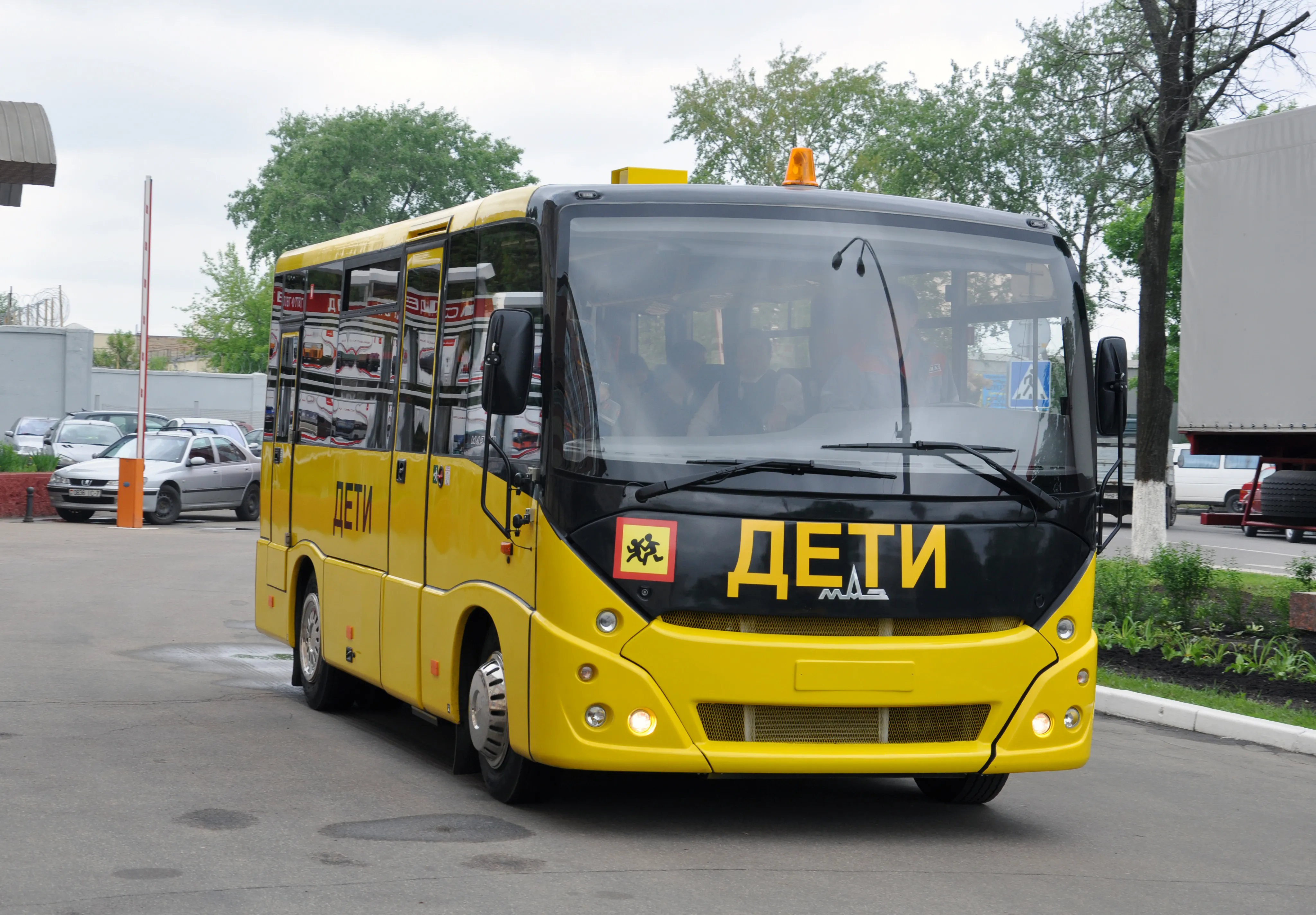 Школьный автобус МАЗ 241#3