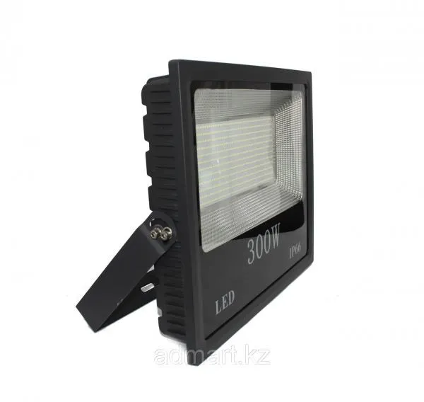 Прожектор светодиодный LFL50-SMD-100W-6000-Black, 6000K ELT#1