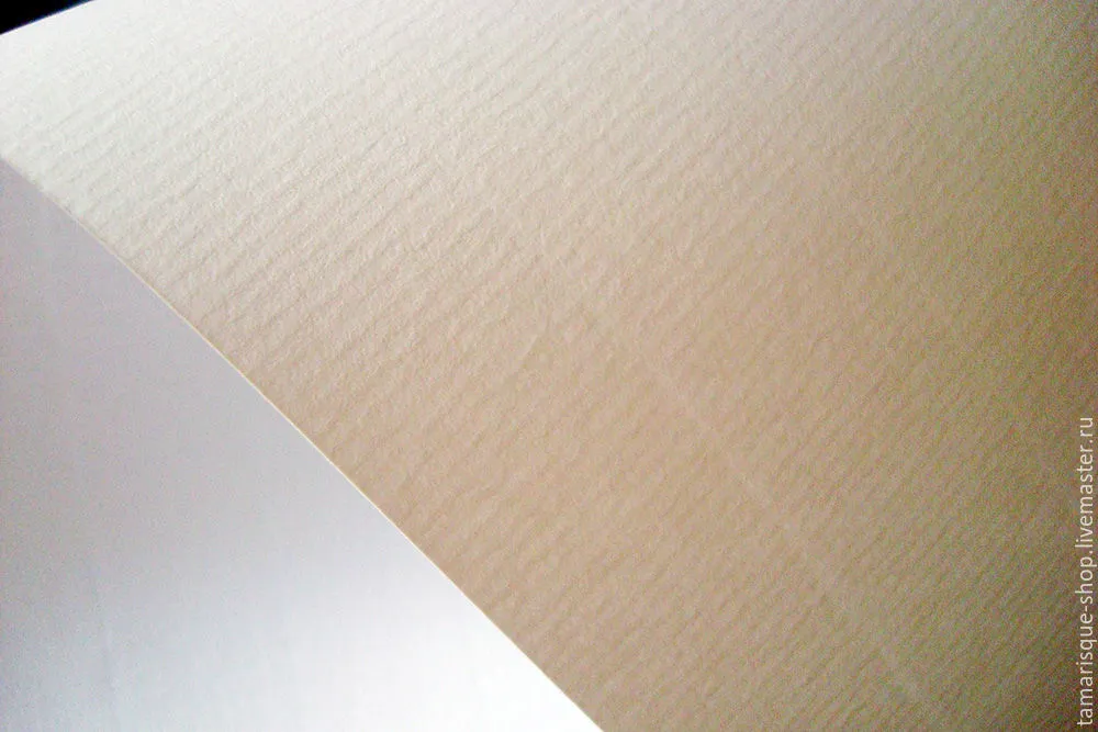 Folding board Bright White Eggshell / Ярко белый скорлупа 324 гр/м2#1