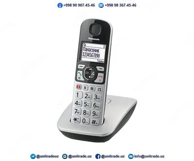 Радиотелефон Panasonic KX-TGE510#1