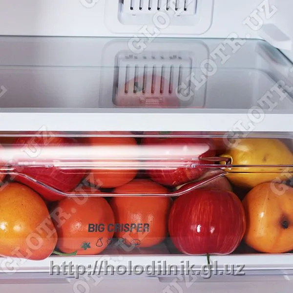 Холодильник INDESIT DF 4160 W#4