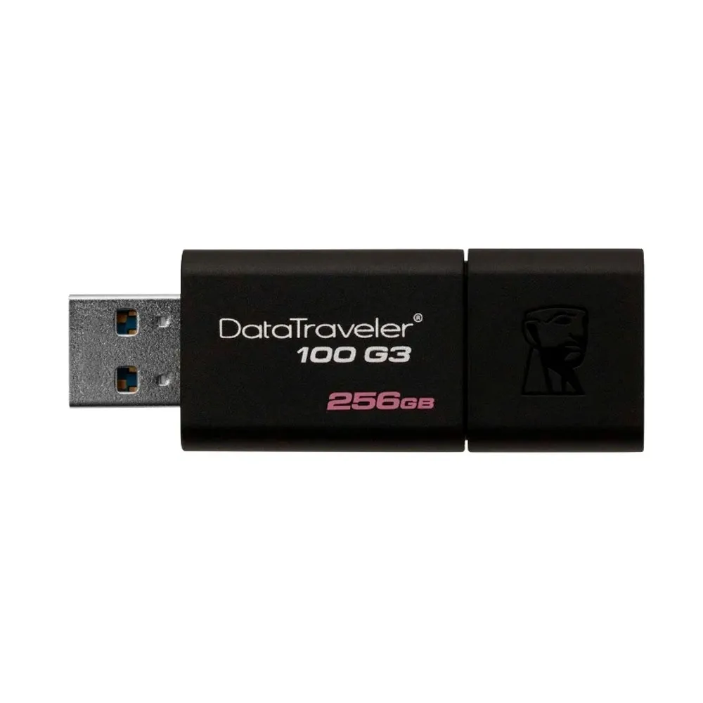 USB-разъем Kingston DataTraveler 100 G3 256GB#2