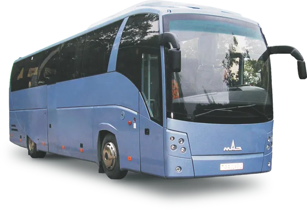 Автобус МАЗ 251#1