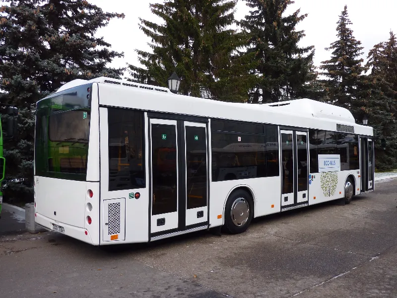 Низкопольный автобус МАЗ 103965#3