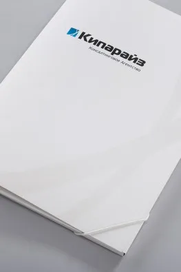 Фирменная папка с логотипом кипарайз#2