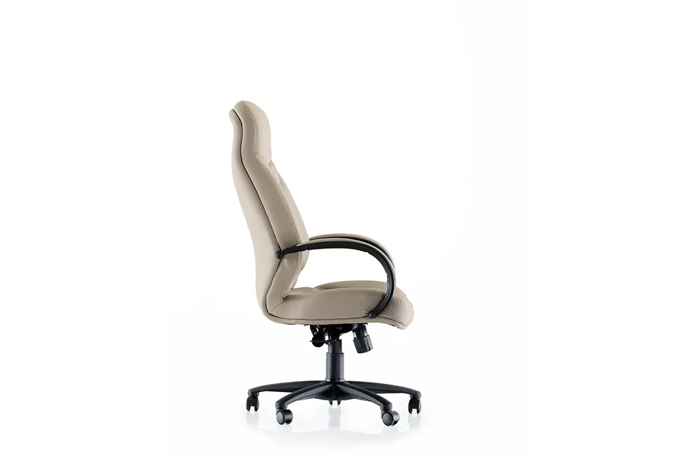 Офисное кресло RICCO 000 P Manager Chair Tilt (Турция)#2
