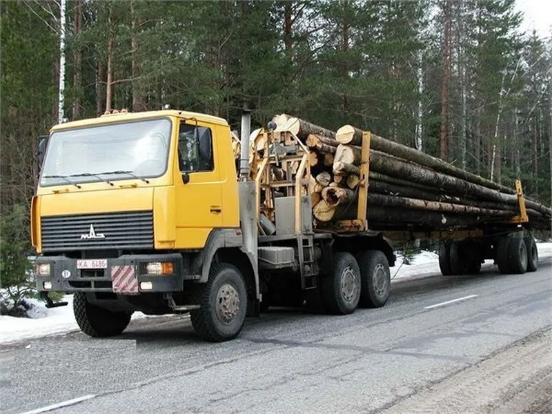 Лесовоз МАЗ-6303А8#5