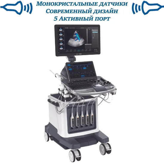 Ультразвуковая диагностическая оборудование ViV80#1