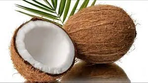 Водорастворимое кокосовое масло, Suvda eriydigan kokos moyi, Resplanta Coconut#1