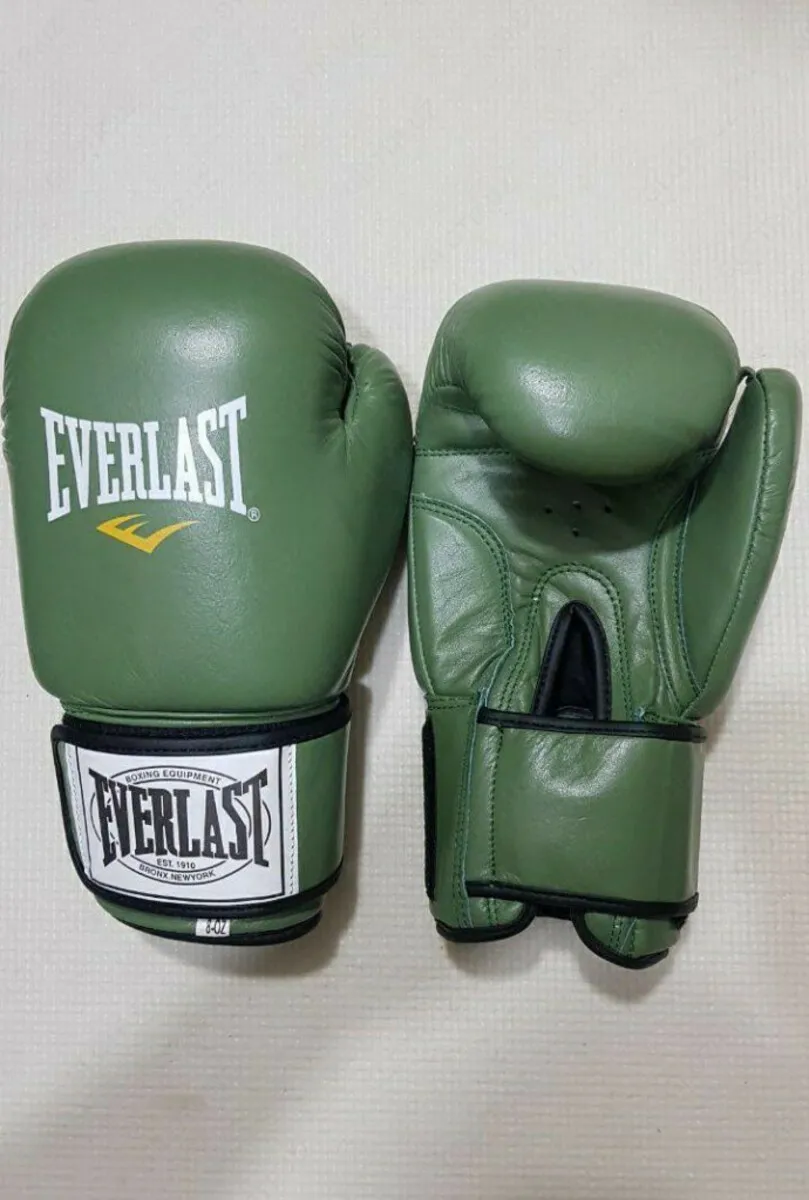 Боксерские перчатки Everlast#1