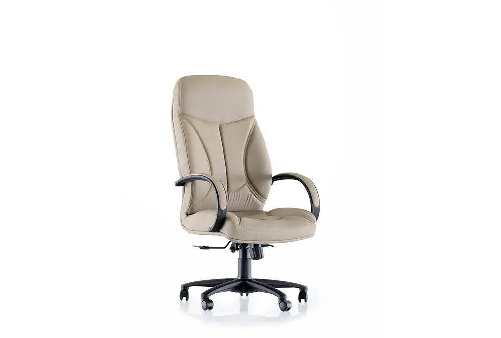 Офисное кресло RICCO 000 P Manager Chair Tilt (Турция)#1