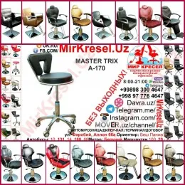 MASTER TRIX A-170 купить кресло стульчик мастера со спинкой 2 в 1#1