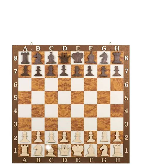Демонстрационная шахматная доска 70х70 см#1
