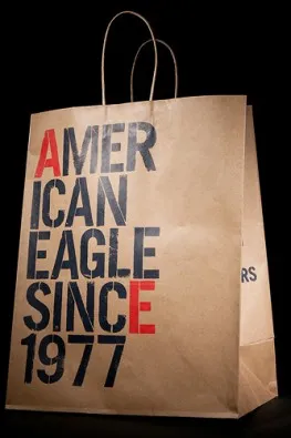 Фирменный пакет из крафта american eagle#1
