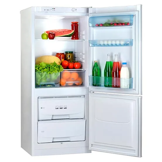 Холодильник двухкамерный бытовой POZIS RK-101#1