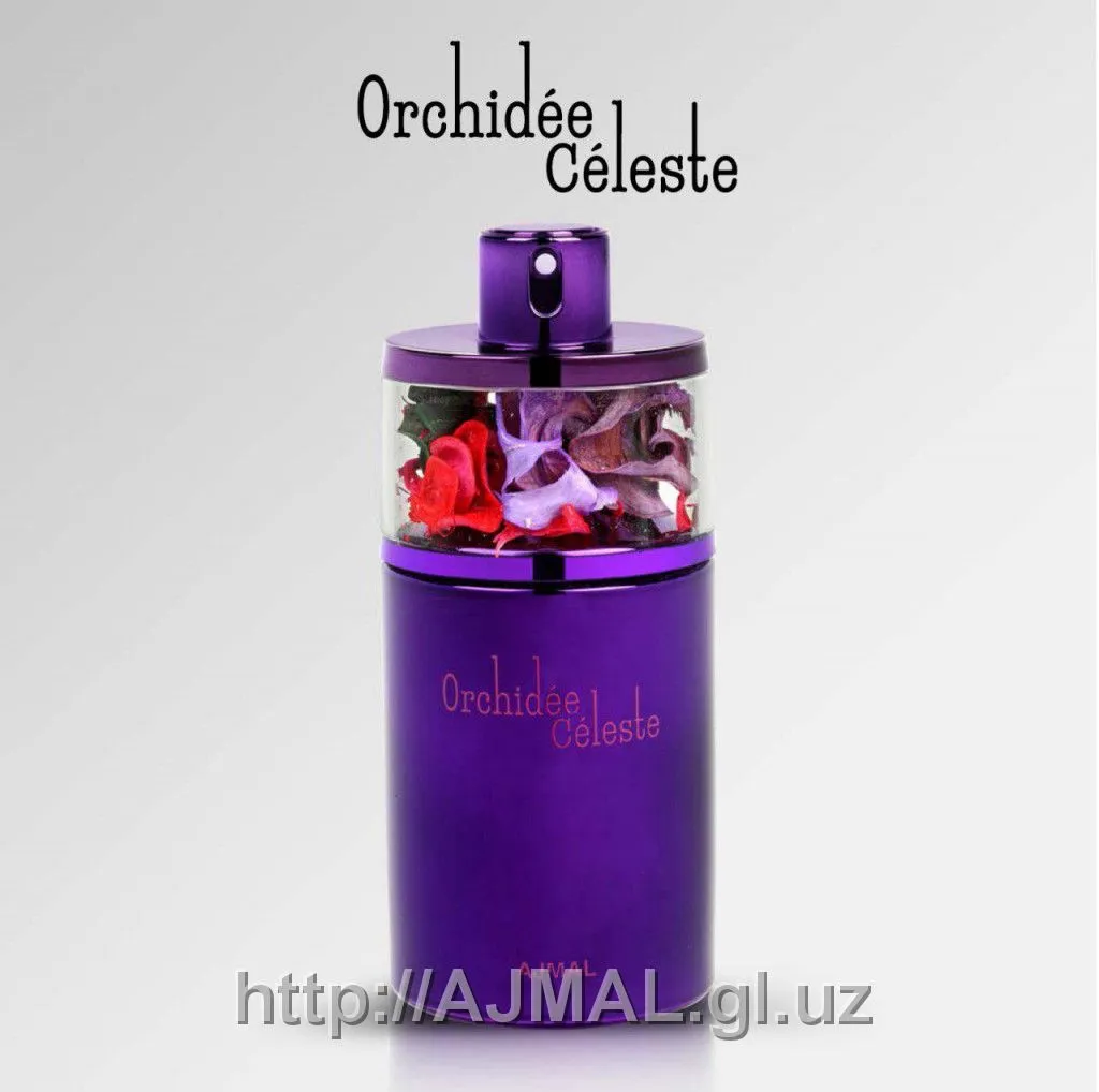 ORCHIDEE CELESTE#1