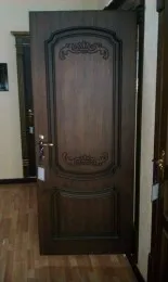 Дверь межкомнатная Арт. 001#1