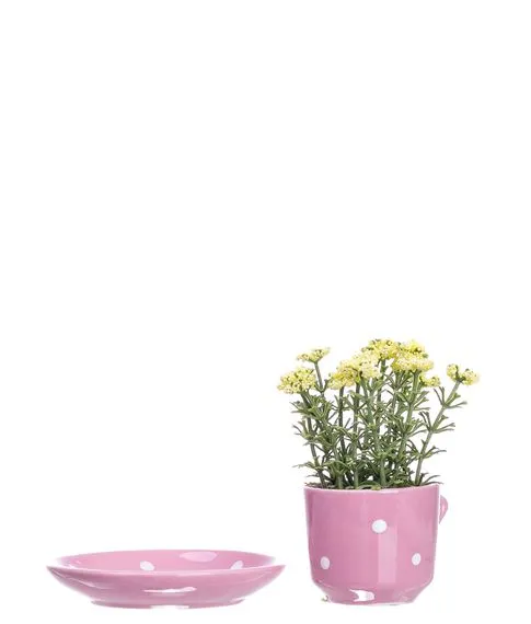 Декоративная чашка с блюдцем +цветок ( 10 см) №285#2