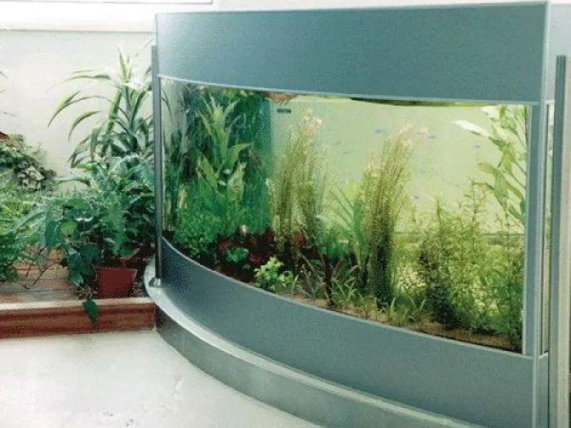Стеклянные аквариумы#31