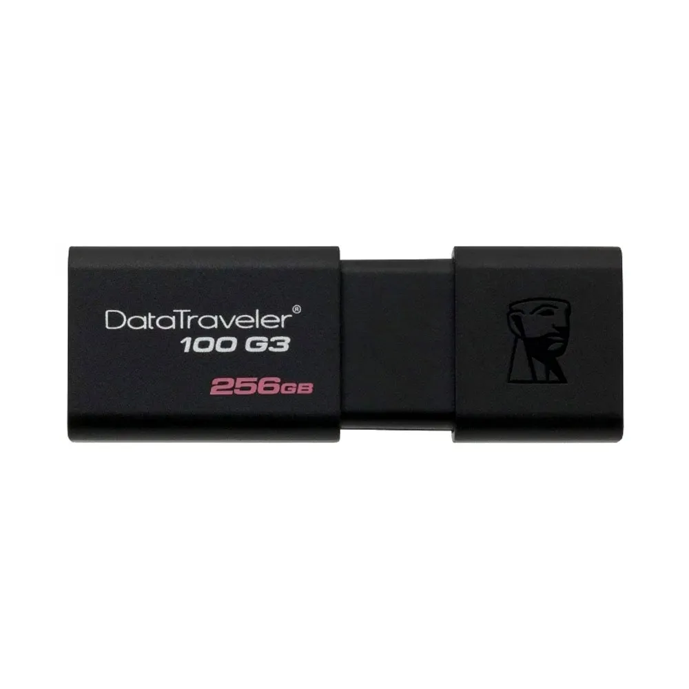 USB-разъем Kingston DataTraveler 100 G3 256GB#1