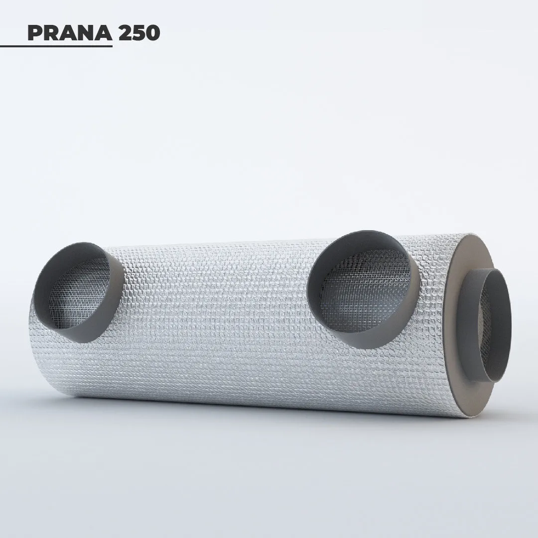 Рекуператор «PRANA-250»#6