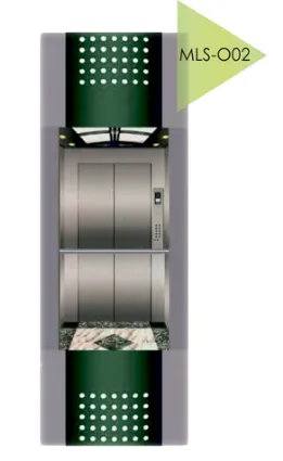 Панорамный лифт MLS-O02#1