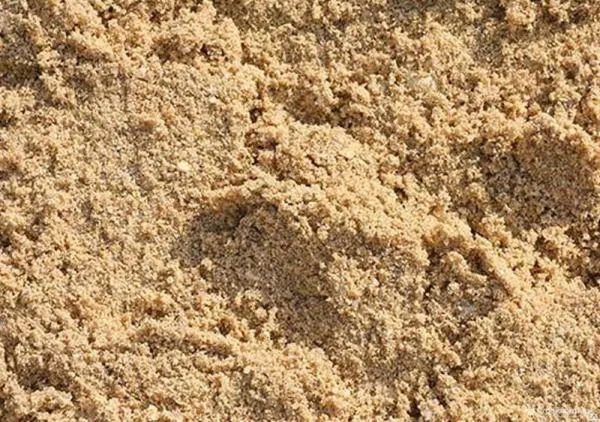Песок мытый Чиназ 5 м3#7