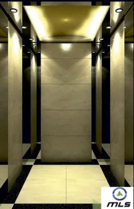 Кабина лифта MLS-10#1