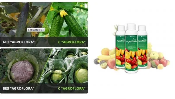 AgroFlora удобрение: получите впечатляющие результаты от применения#3
