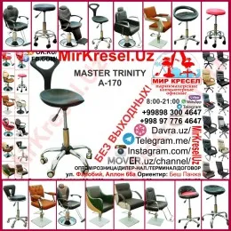 MASTER TRINITY A-170 купить кресло стульчик мастера со спинкой 2 в 1#1
