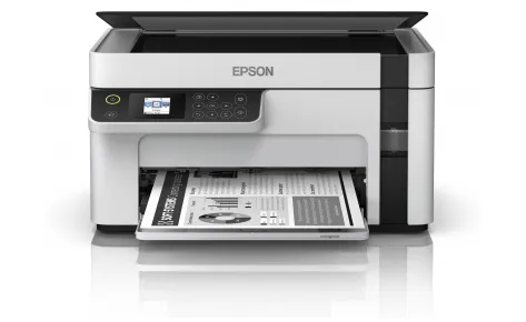 Монохромный принтер Epson M2120#1