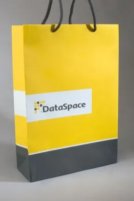 Корпоративный бумажный пакет dataspace#1