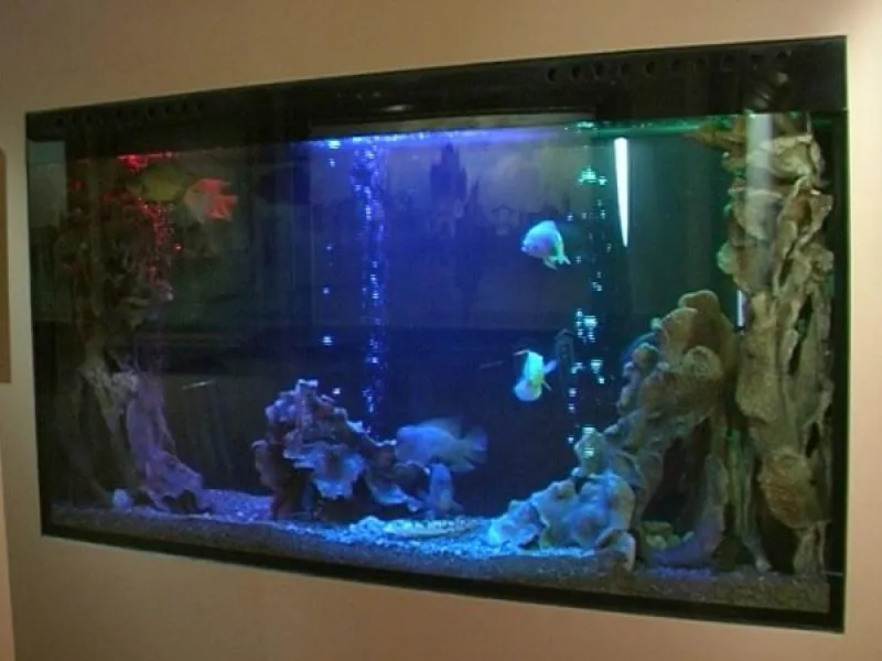 Стеклянные аквариумы#24