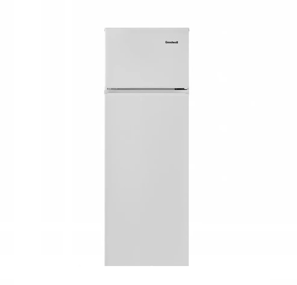 Холодильник Goodwell 271 WS#1