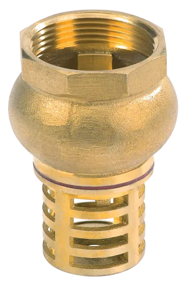 Приемный клапан Foot valve#1