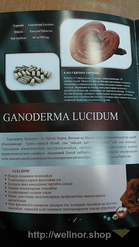 Ganoderma Lucidum | Ганодерма лусидум#3