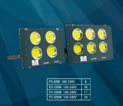 Прожекторы DUSEL P3-100W#1